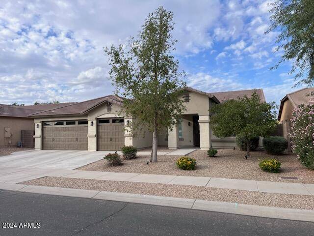 Surprise, AZ 85379,16002 W Jenan Drive