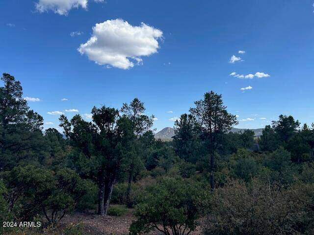 2314 E BLUE BELL Circle #143 Payson, AZ 85541