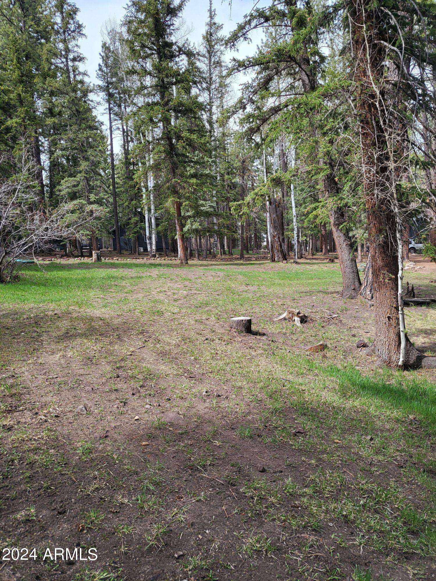 Greer, AZ 85927,6 County Road 1007 -- #6