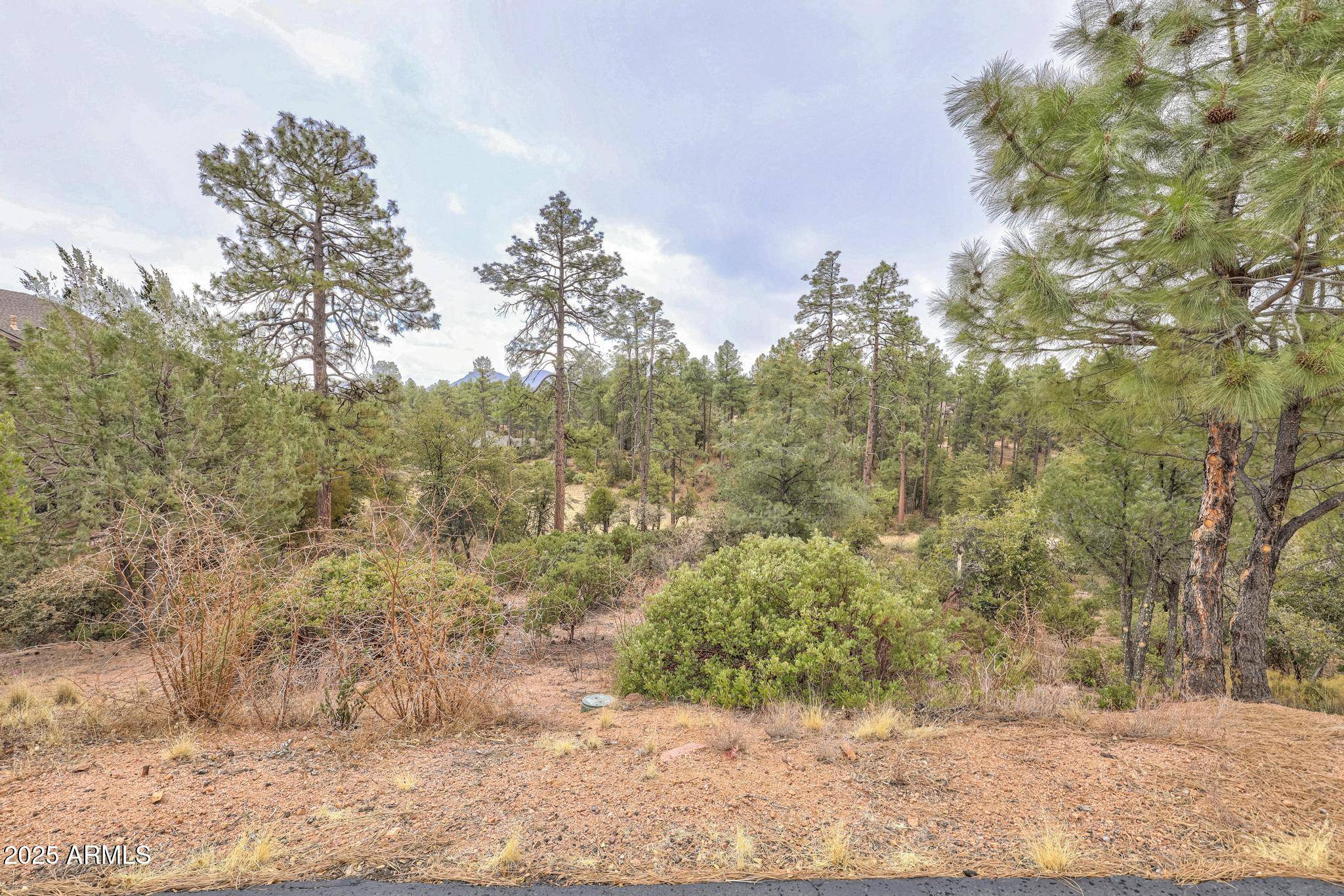 Payson, AZ 85541,505 N Grapevine Drive #434