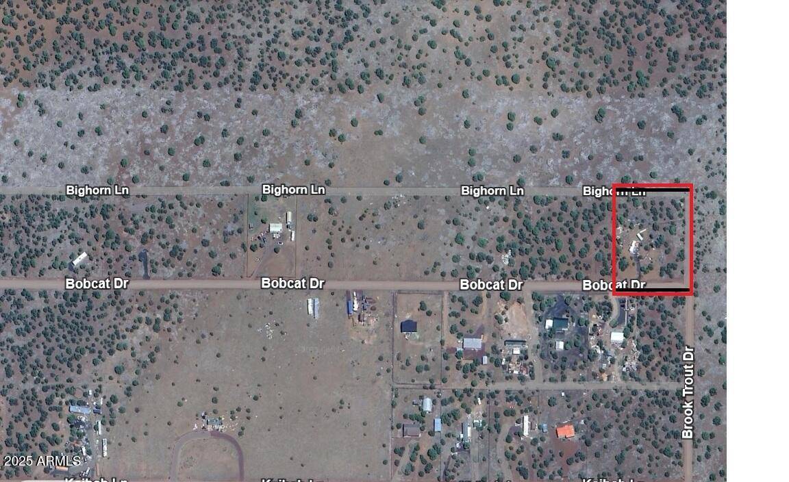 Show Low, AZ 85901,8594 BOBCAT Drive #1