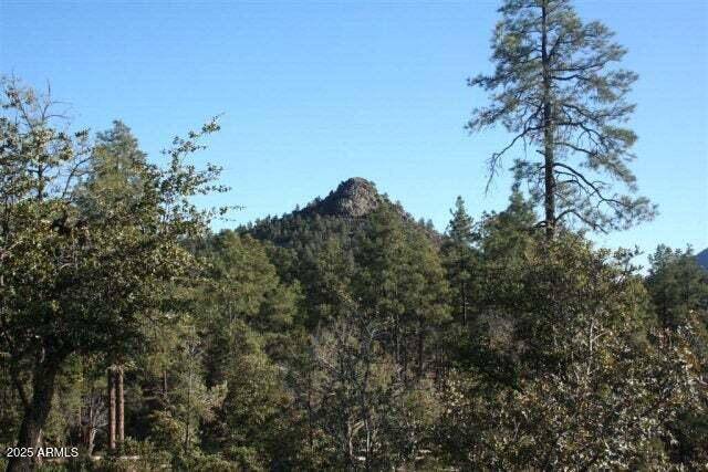 Payson, AZ 85541,3103 S Monument Peak -- #168