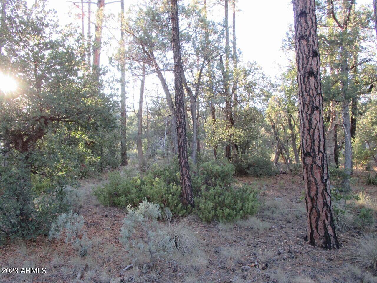 25 Verde Glen -- #- Payson, AZ 85541