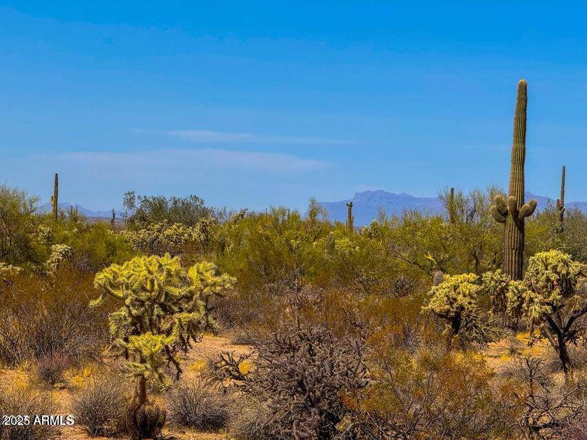 Florence, AZ 85132,0 N Hohokam Rd Lot D 7.5 Acres -- #-