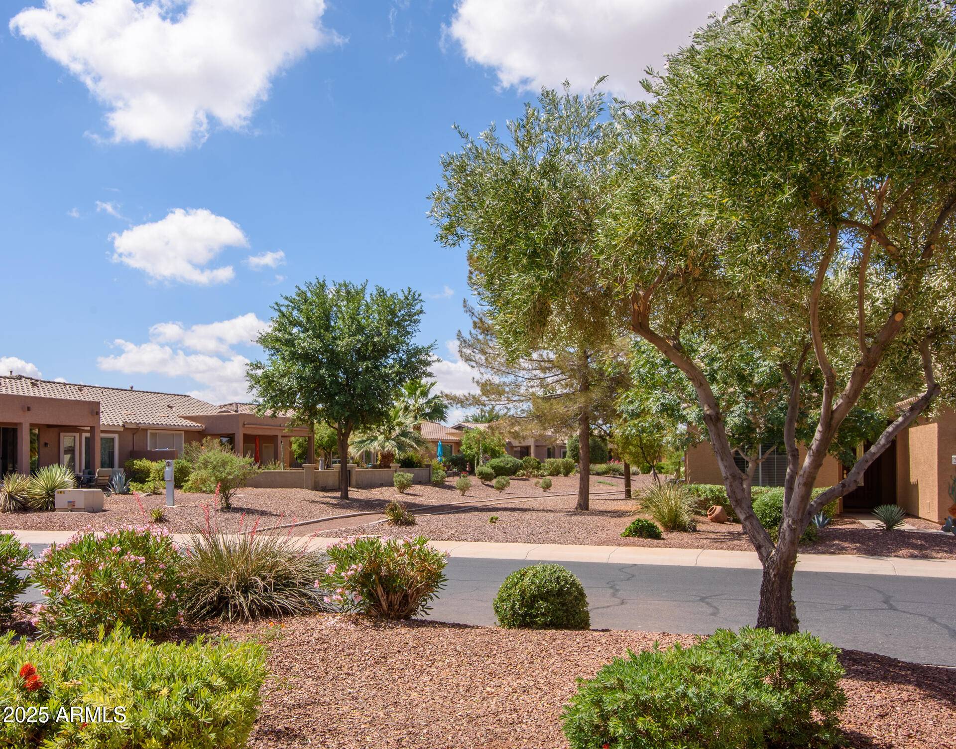 Maricopa, AZ 85138,20455 N LEMON DROP Drive