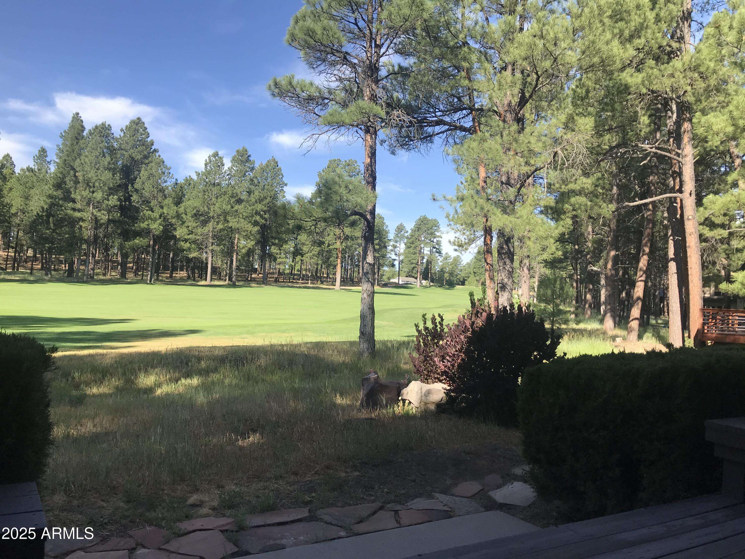 Flagstaff, AZ 86005,6106 Griffiths Spring