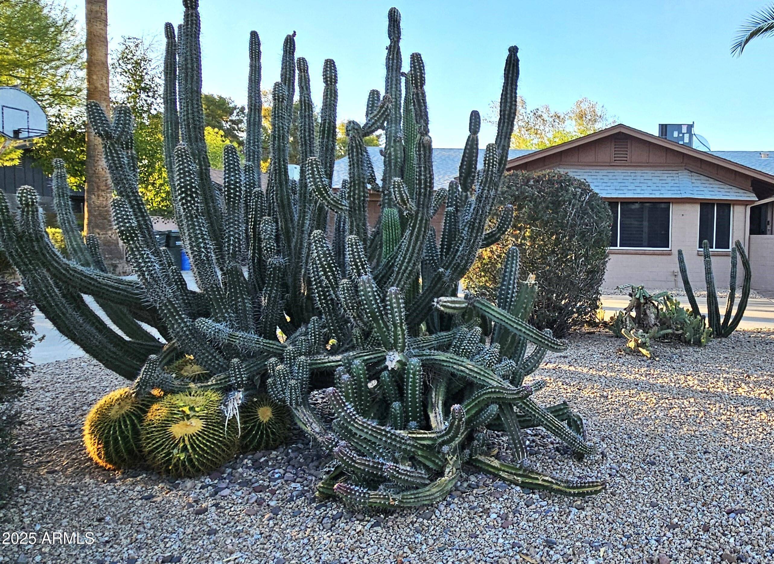 Scottsdale, AZ 85254,5514 E PERSHING Avenue