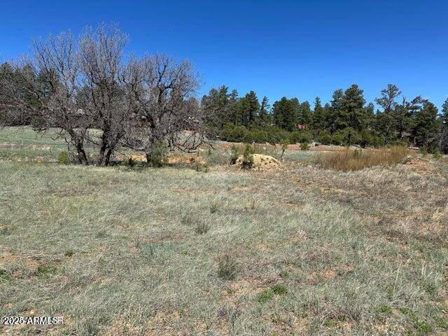 Show Low, AZ 85901,1301 S Lakeside Trail #33