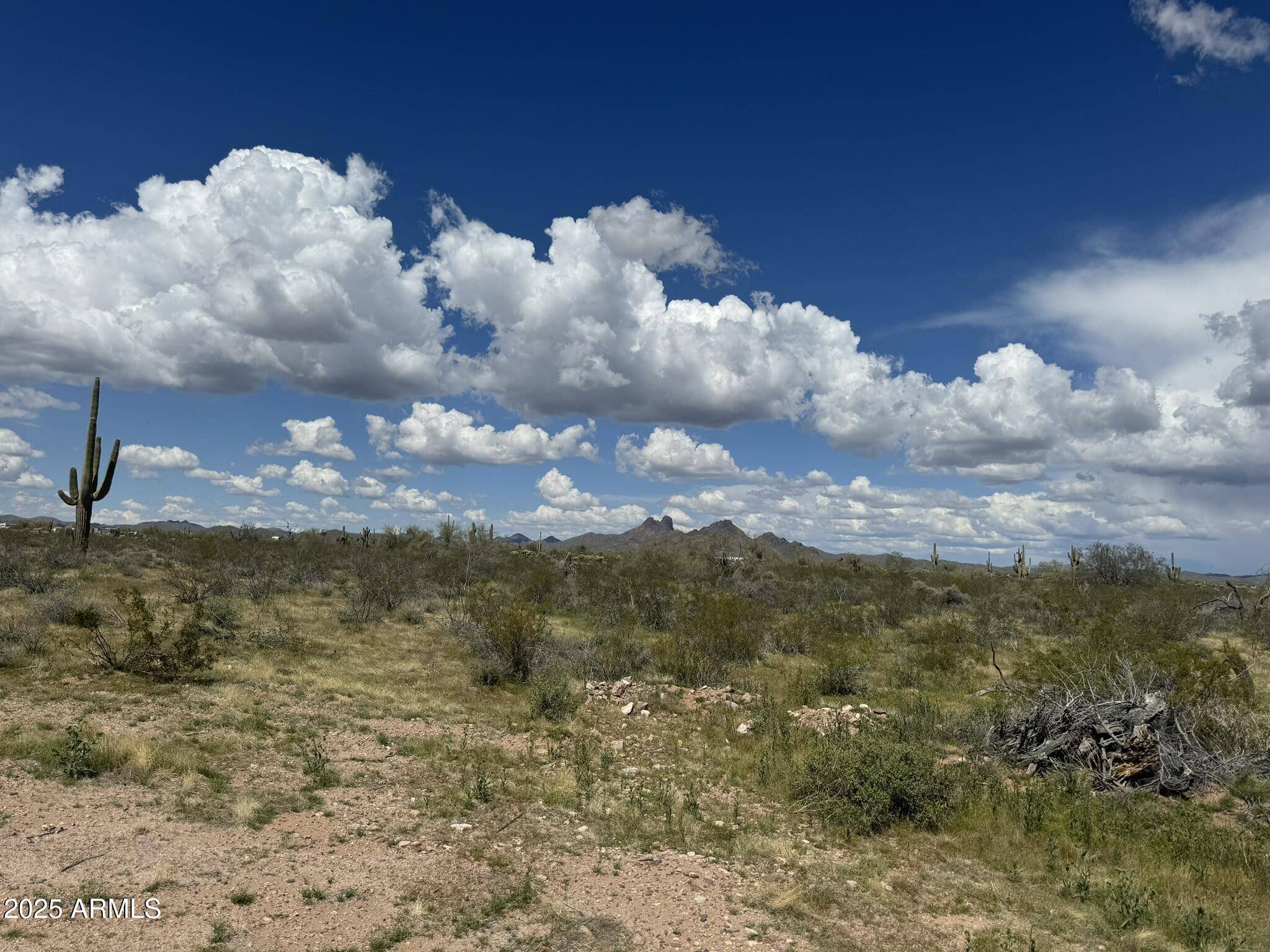 Wickenburg, AZ 85390,33098 W GALVIN Street #64