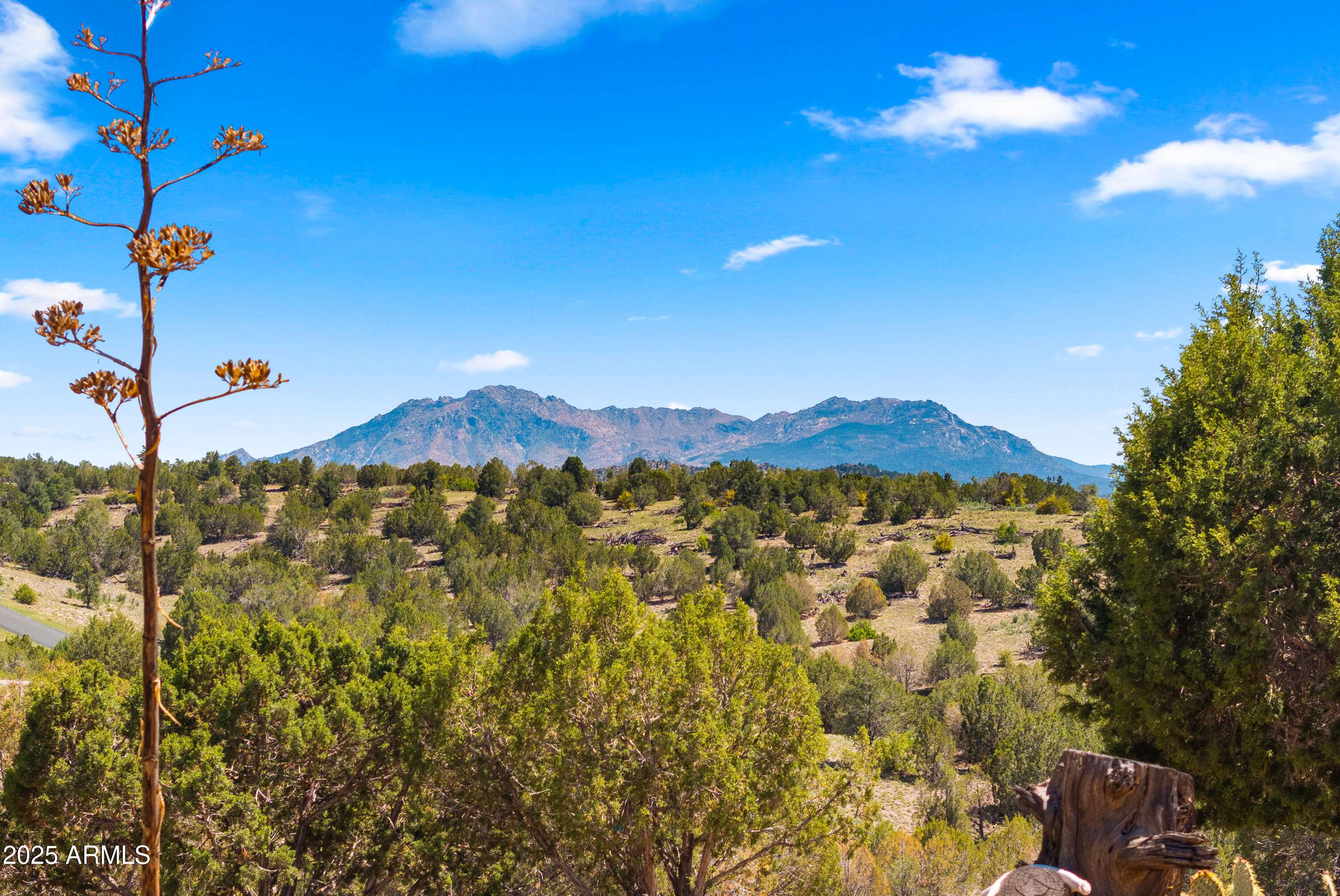 Prescott, AZ 86305,6600 W RAMBLING Road