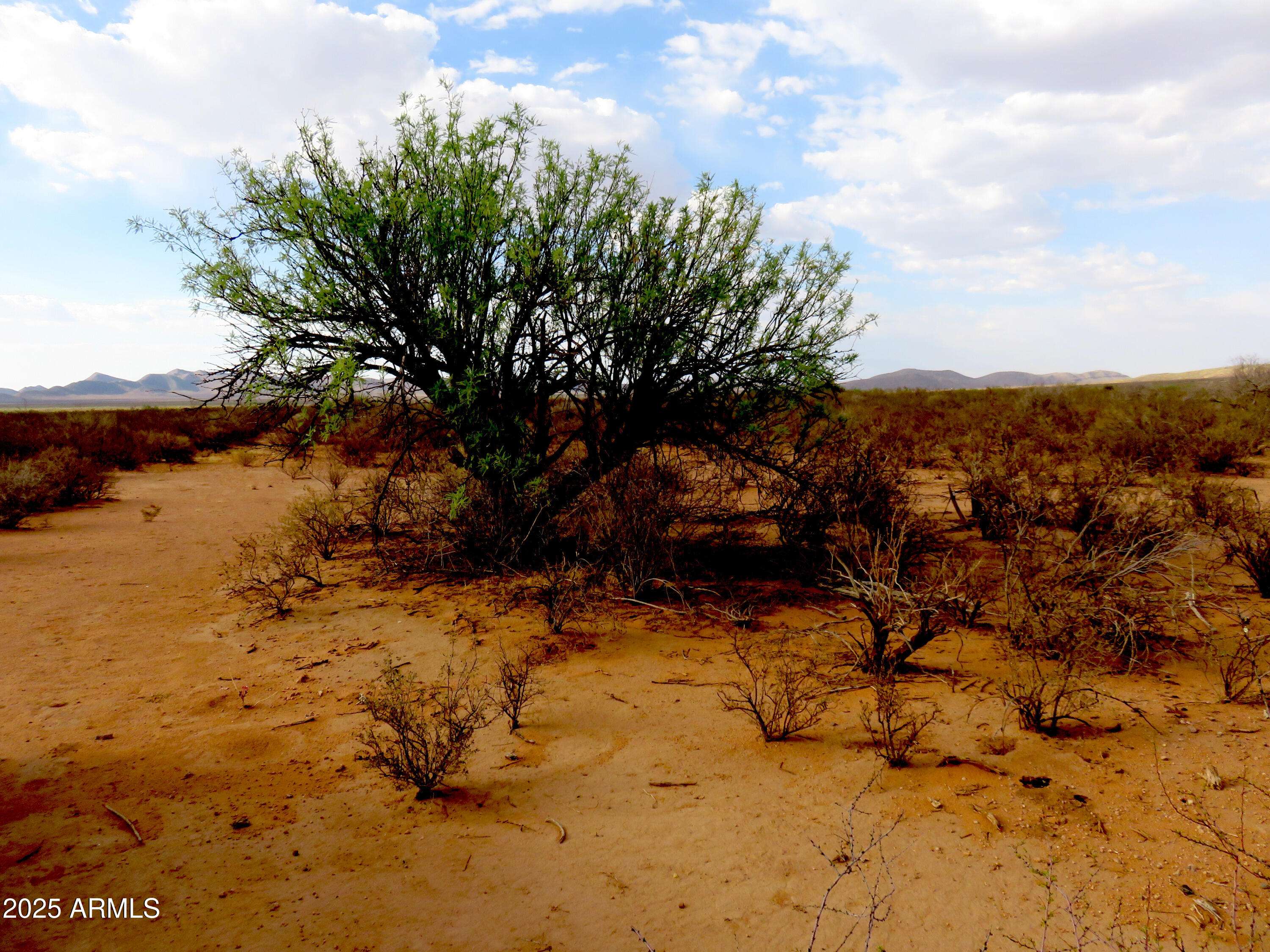 Tombstone, AZ 85638,S Helen Rose Lane #22