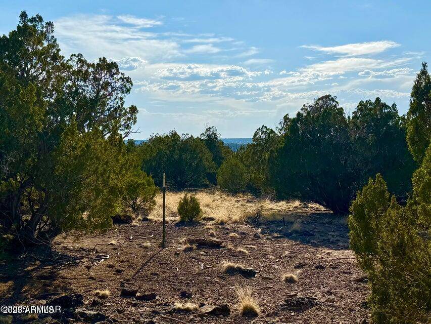 Concho, AZ 85924,37 Co Rd N8174 10.1 Acres -- #-