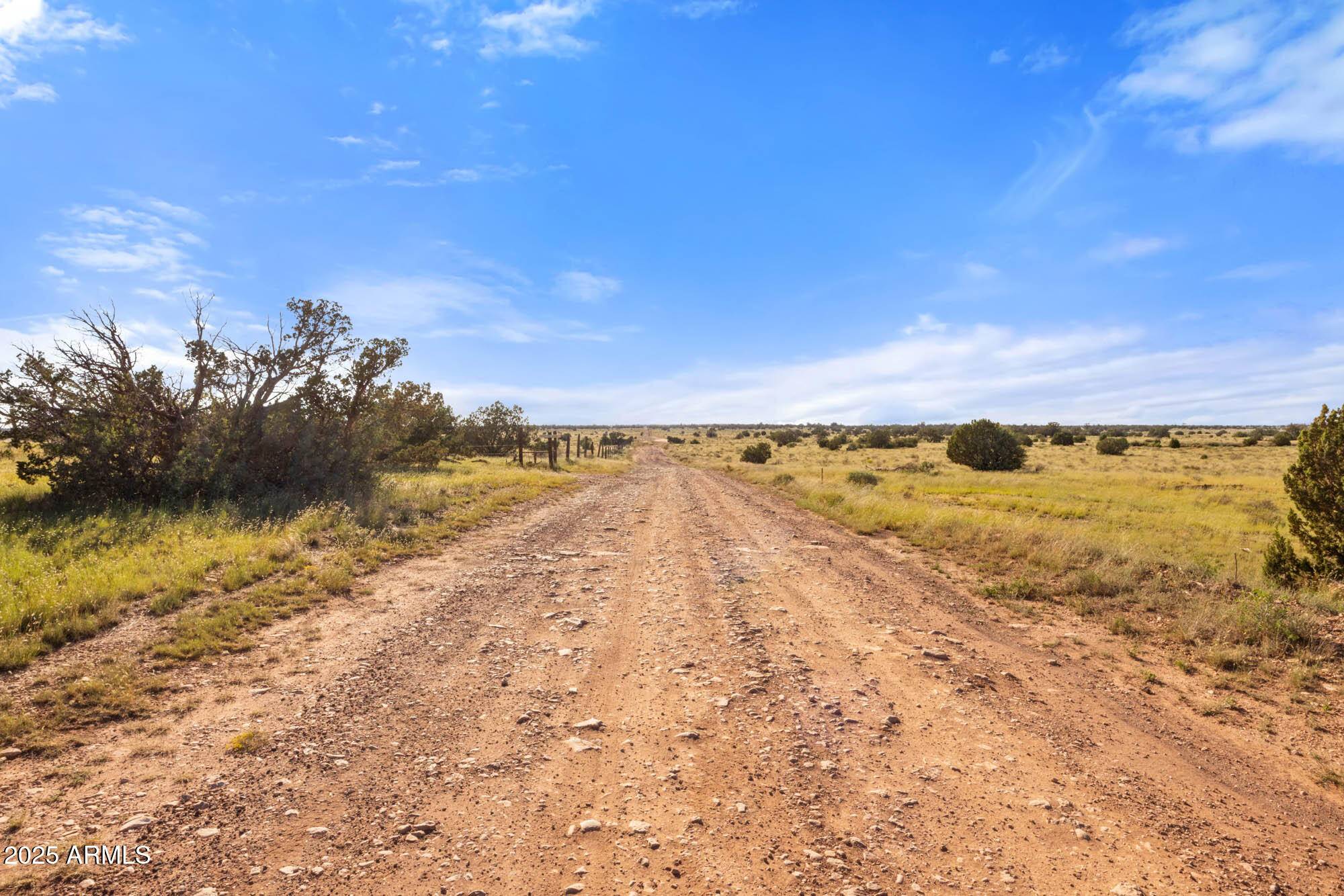 Williams, AZ 86046,1670 Silver Bear Lane #12