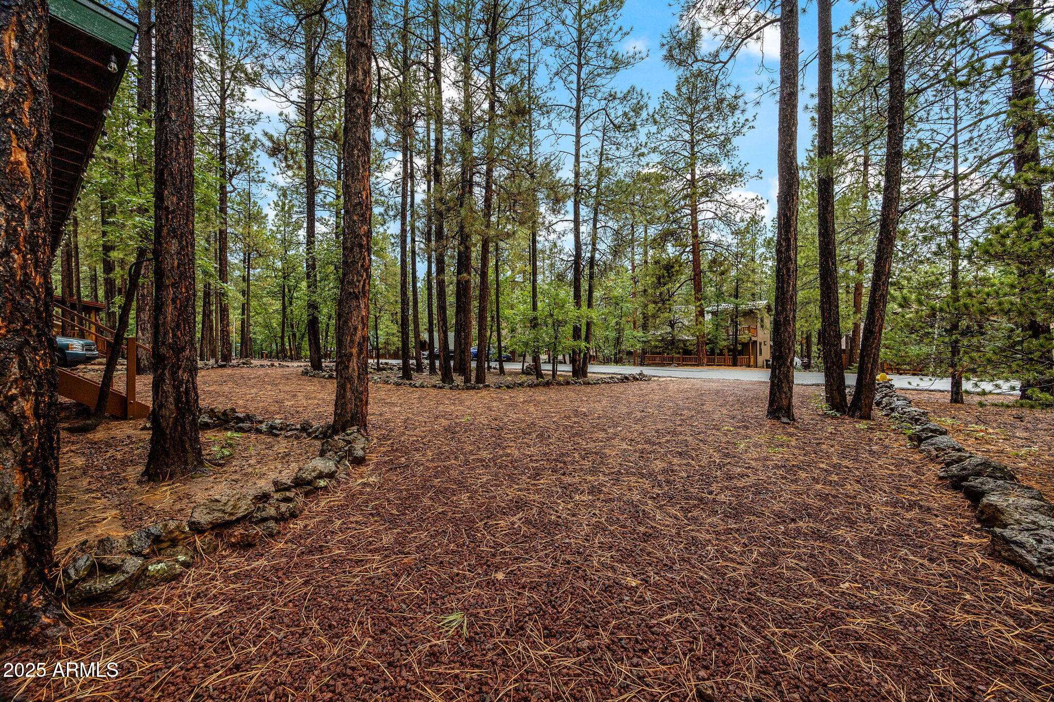 Pinetop, AZ 85935,3379 TURKEY TRACK Road