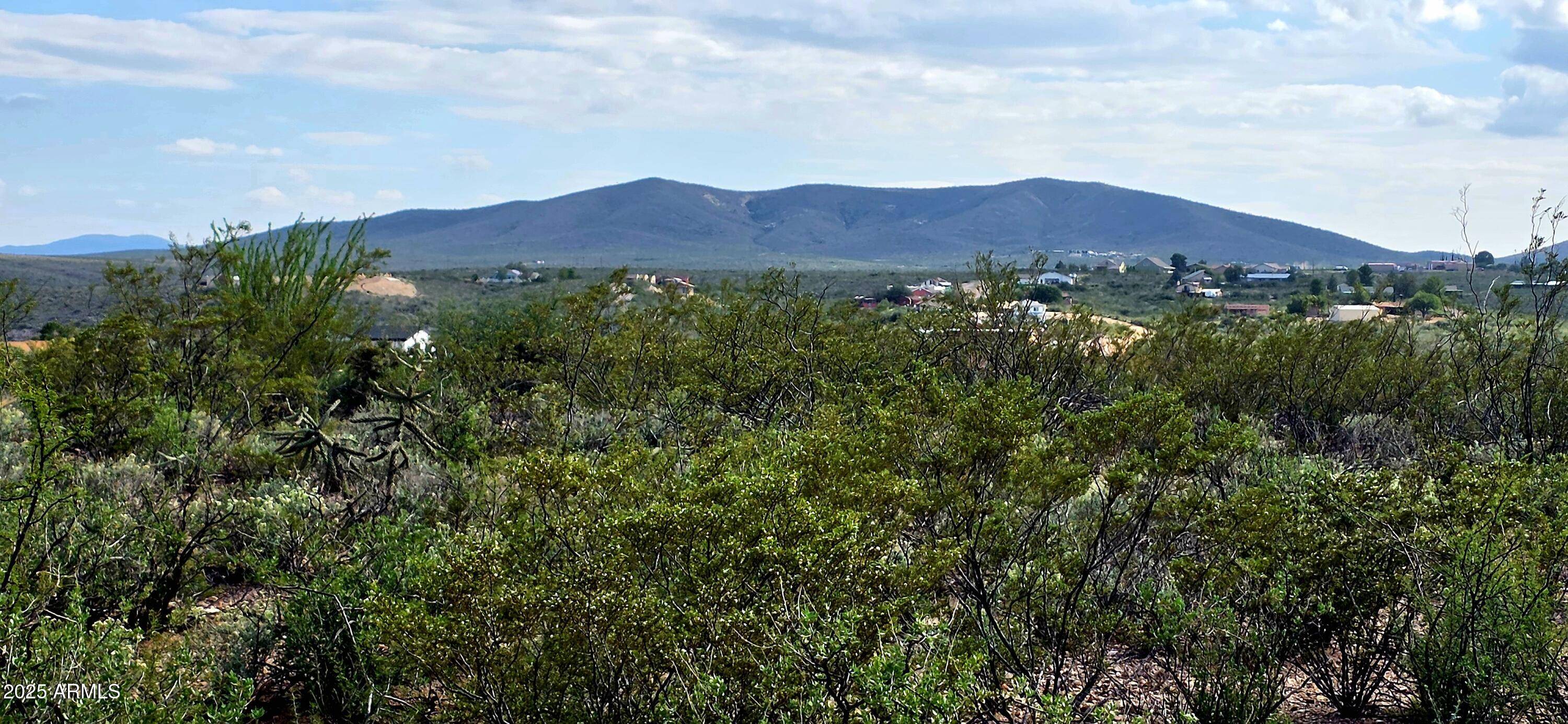 Tombstone, AZ 85638,N Rosa Court #602