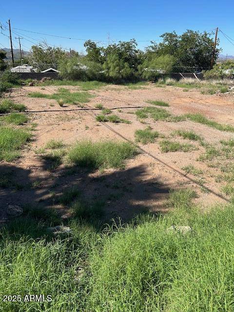 Superior, AZ 85173,112 N South Avenue #11 & 12