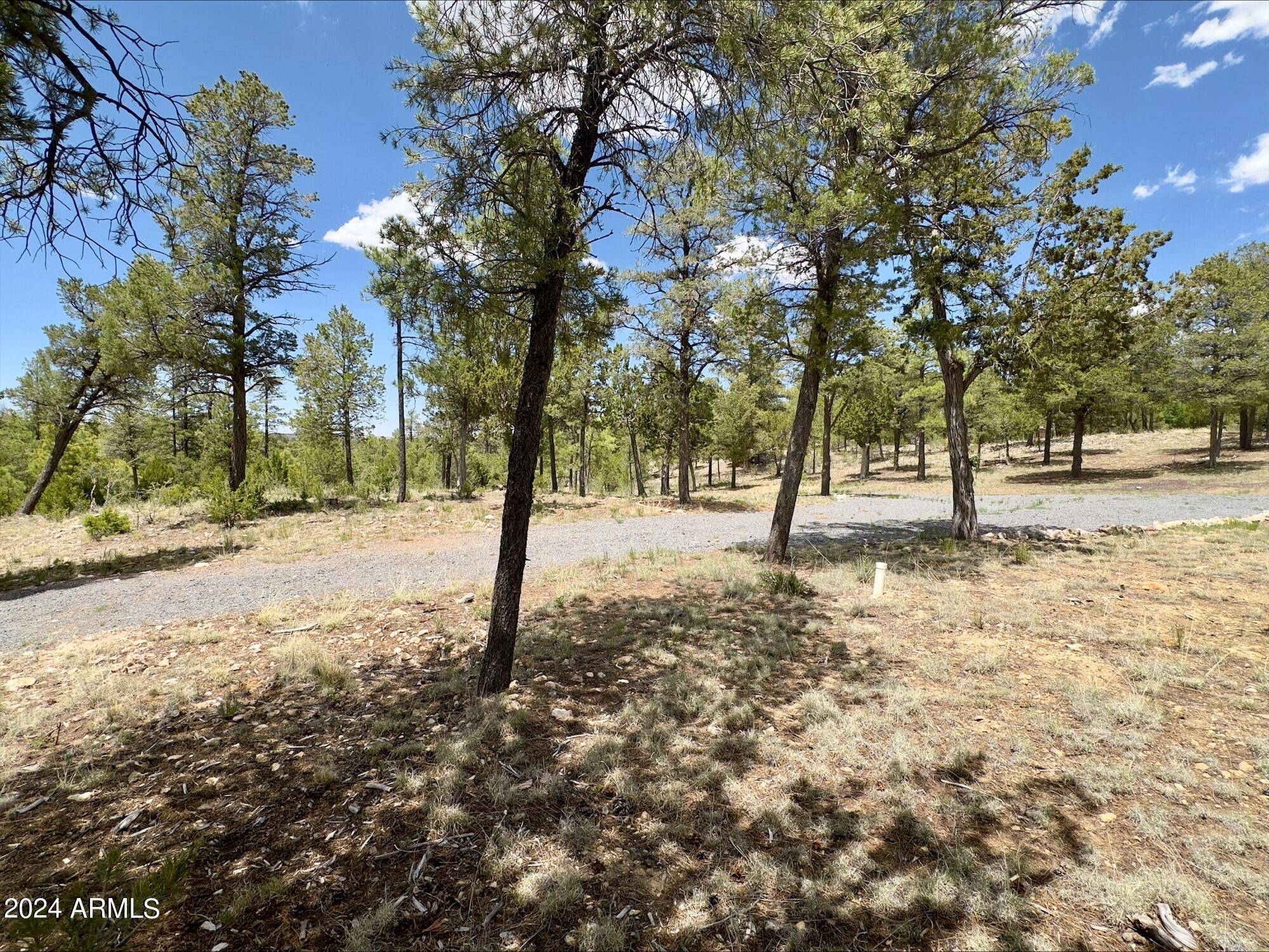 Heber, AZ 85928,3337 SAWMILL RIDGE Loop #98