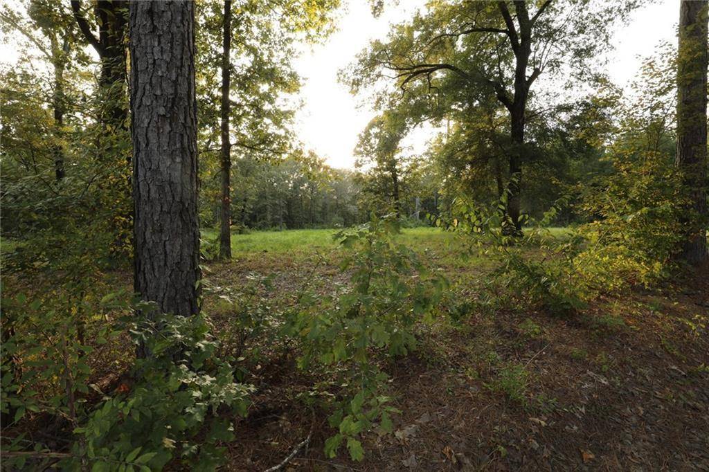 Deville, LA 71328,0 Hickory Grove Loop Lot 4 RD