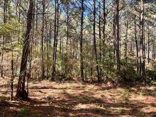 Pineville, LA 71360,Lot 3 Big Lake RD