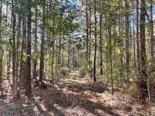 Pineville, LA 71360,Lot 3 Big Lake RD