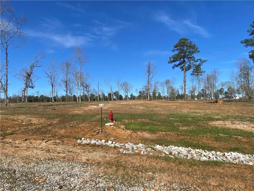 Dry Prong, LA 71423,0 Sophie LN #Lot 56