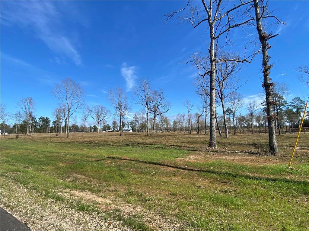 Dry Prong, LA 71423,0 Sophie LN #Lot 57