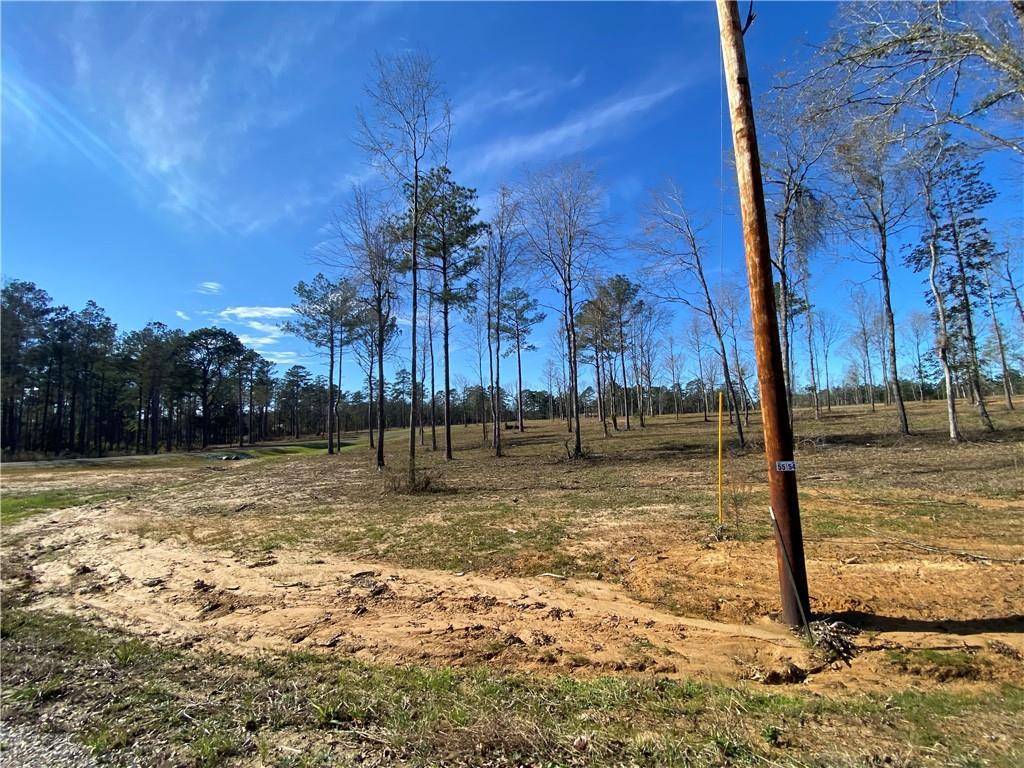 Dry Prong, LA 71423,0 Sophie LN #Lot 55