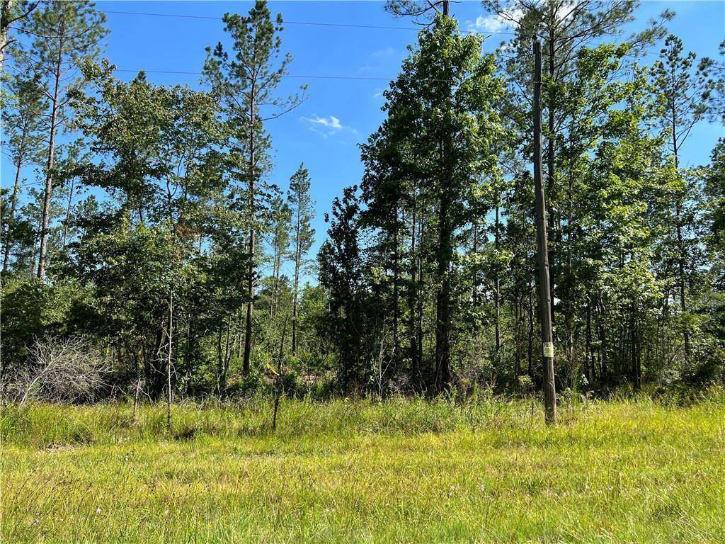 Pollock, LA 71467,0 Walker Ferry RD #Lot 8