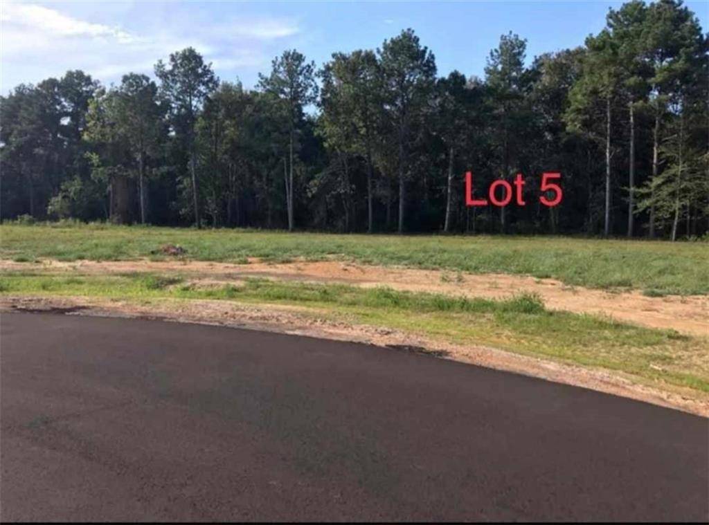 Deville, LA 71328,LOT 5 THEO DR