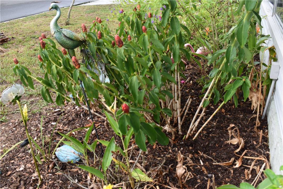 Micco, FL 32976,921 Laurel CIR