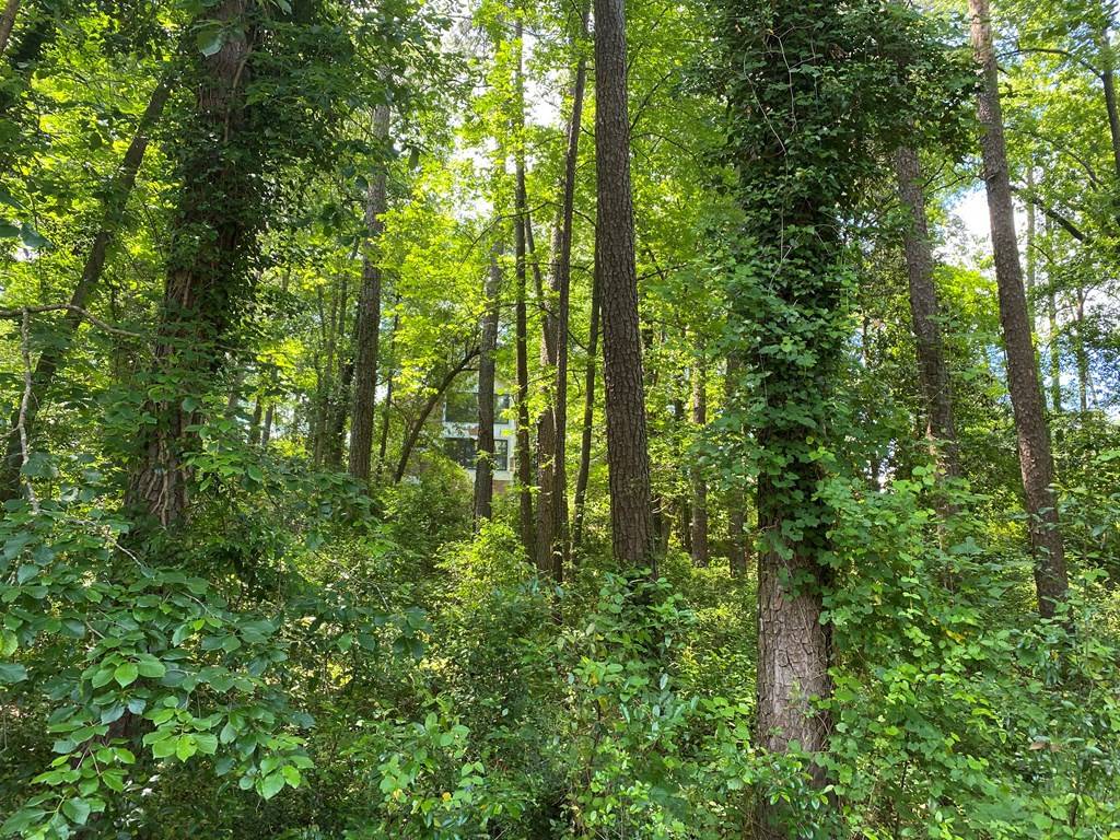 Aiken, SC 29801,11 Hills Woodland Lane SW