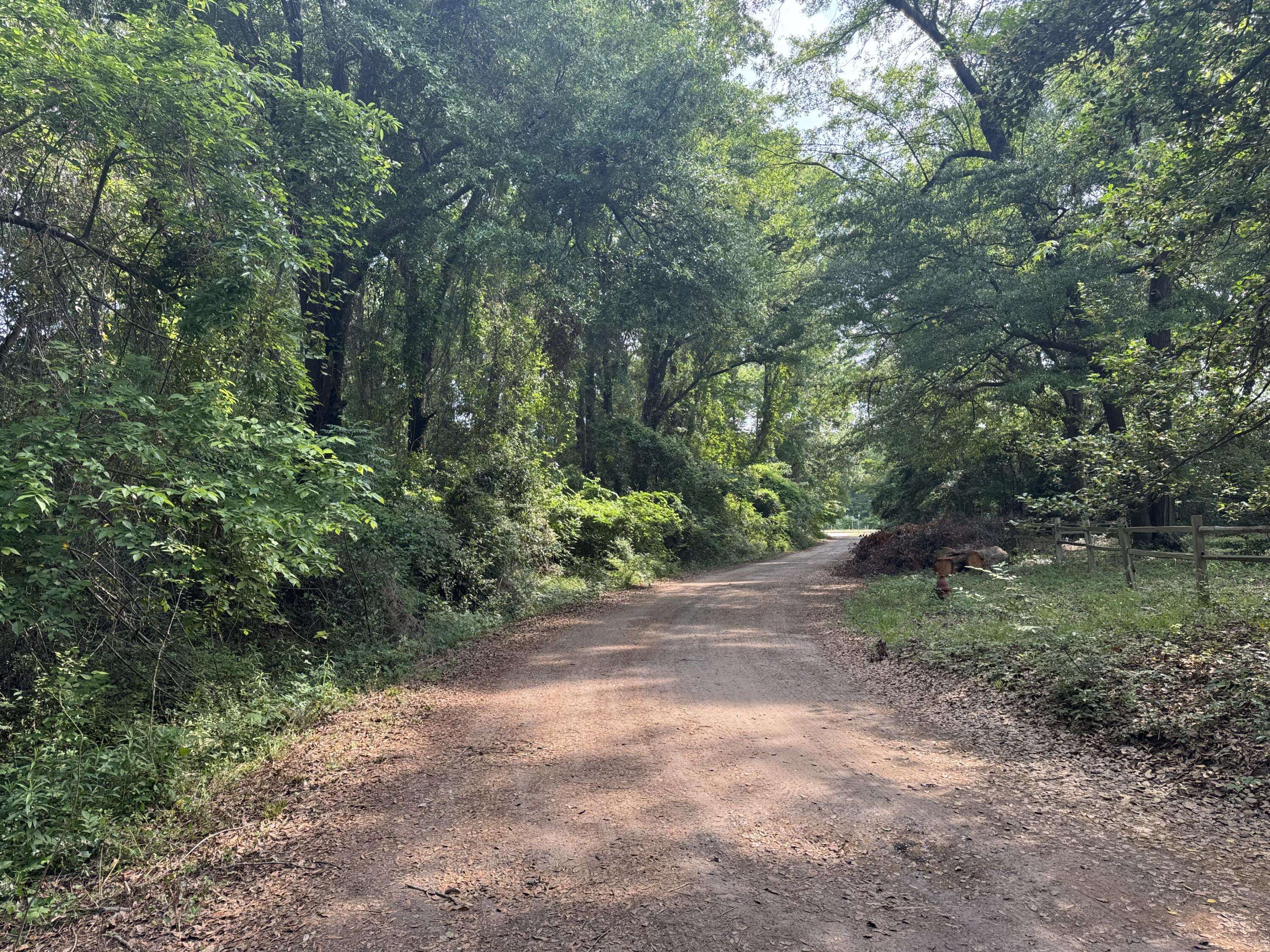 Jackson, SC 29831,3 Bailey Circle