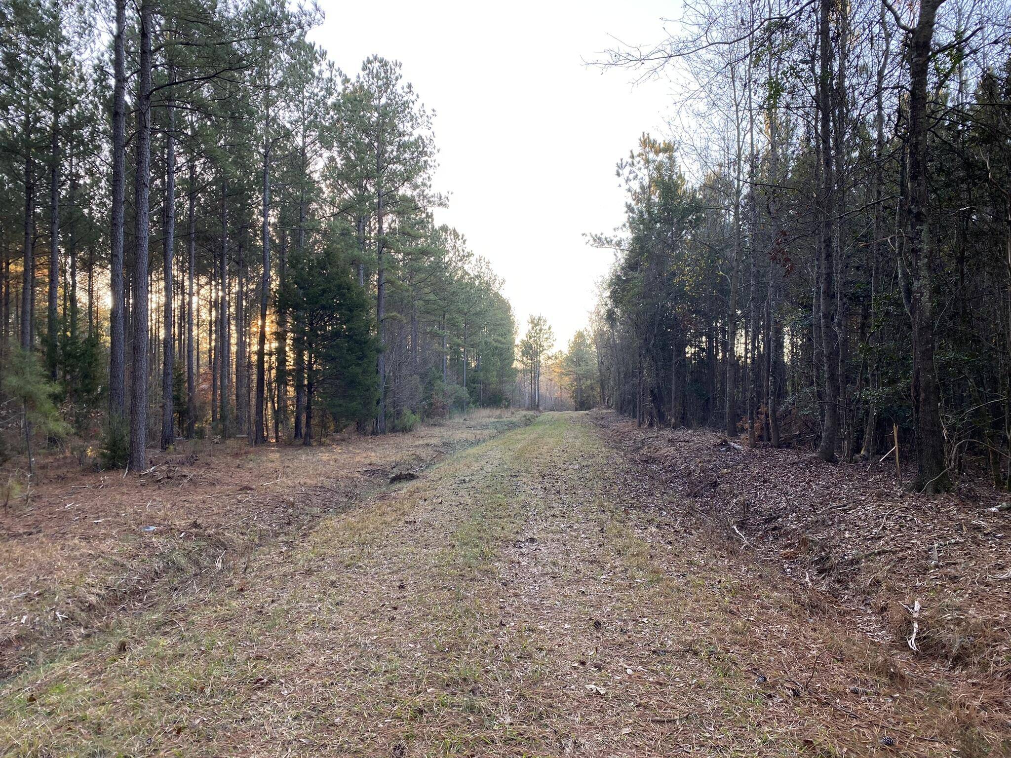 Batesburg-leesville, SC 29006,Spann Road