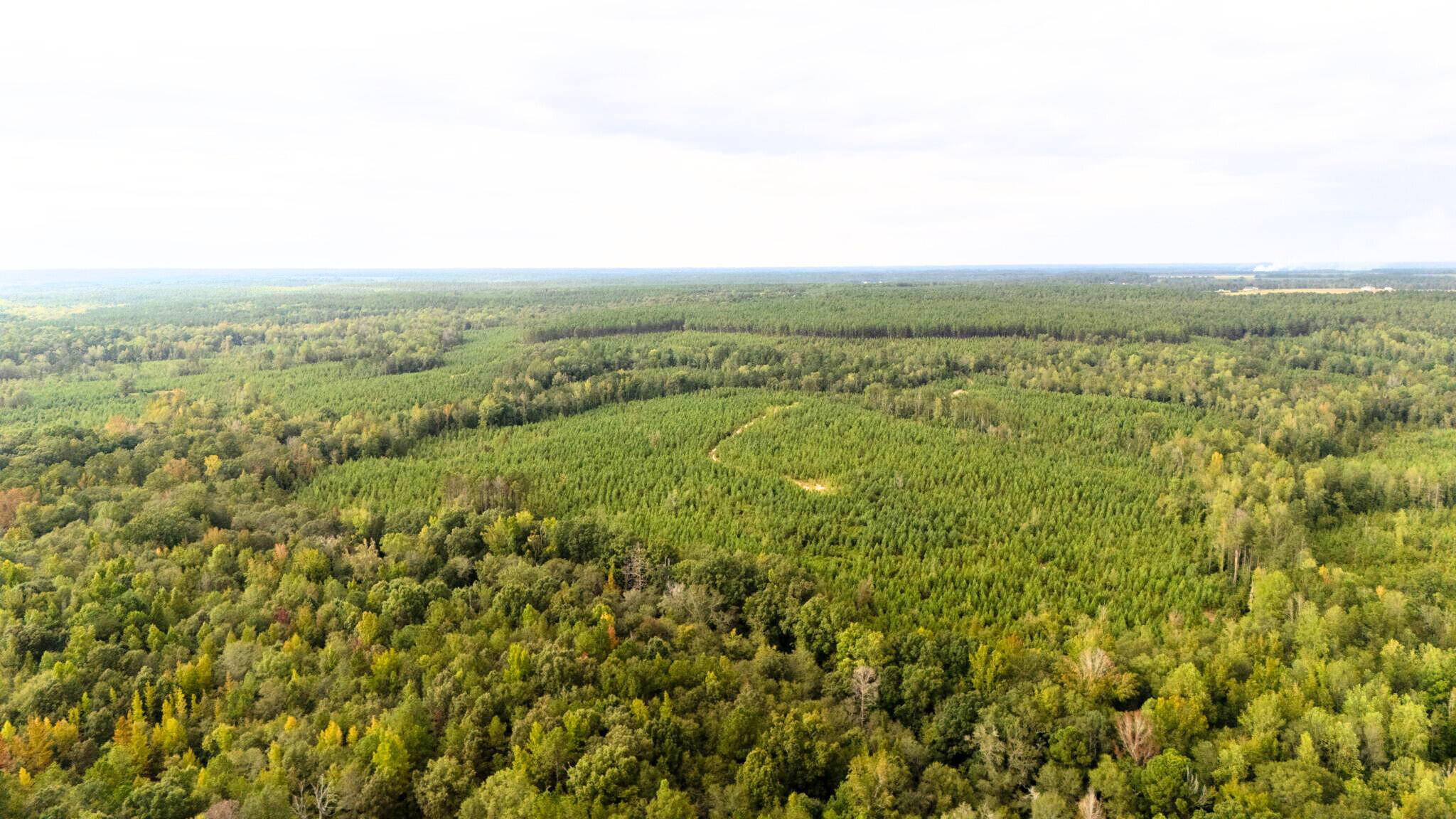 Trenton, SC 29847,0 Johnston Highway