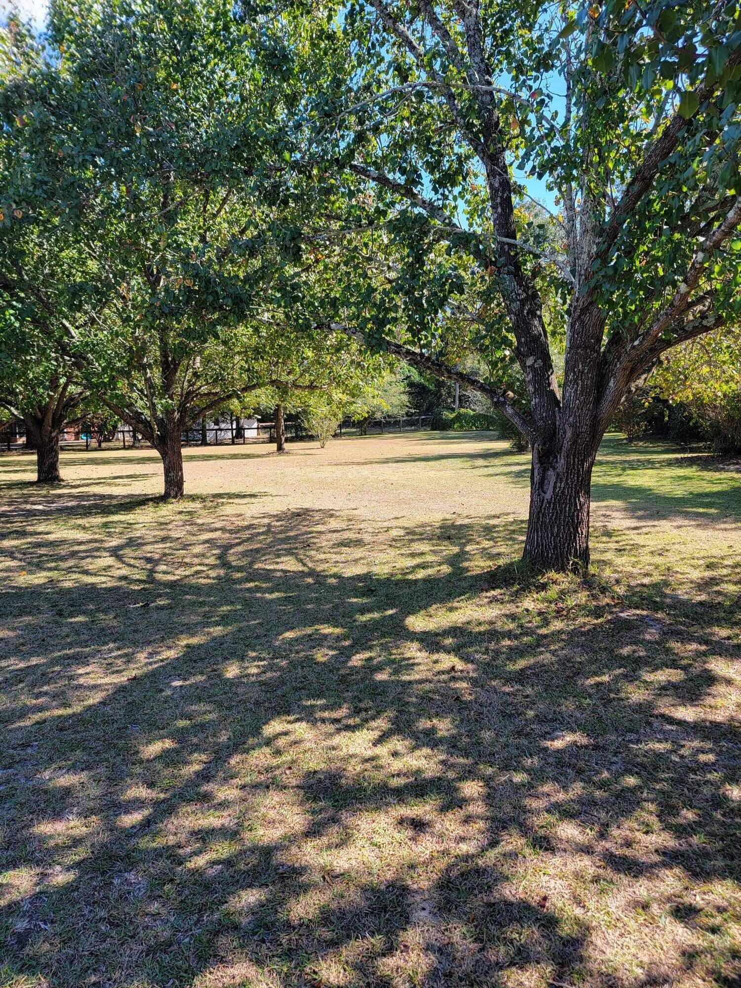 Aiken, SC 29803,947 Murrah Avenue