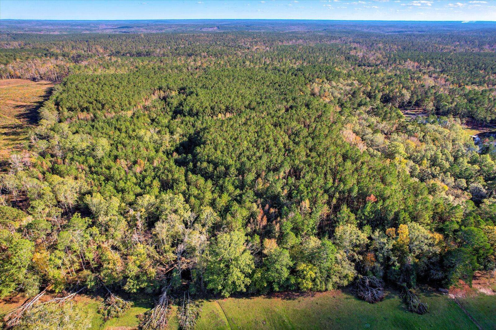 Edgefield, SC 29824,2 Sc Hwy 23 W