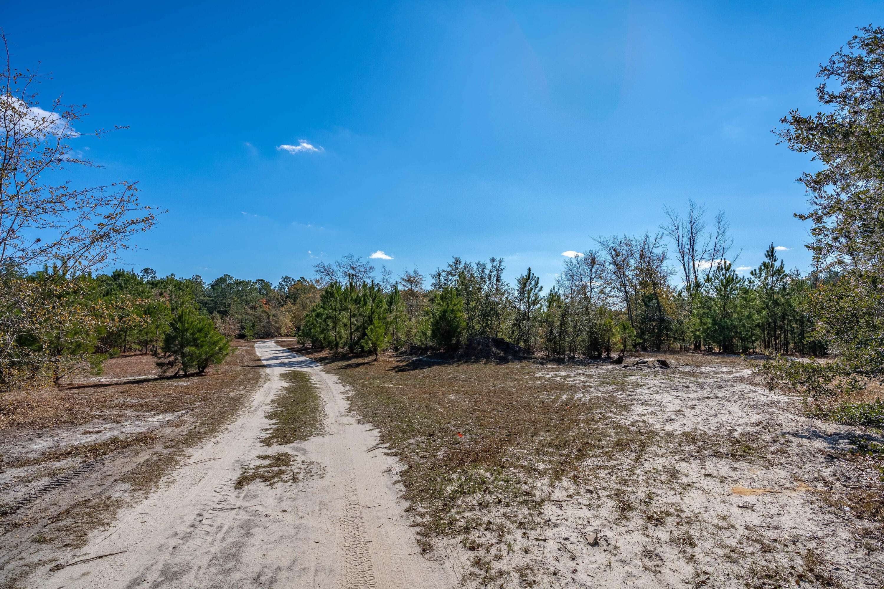 Monetta, SC 29105,491 Shealy Pond Road