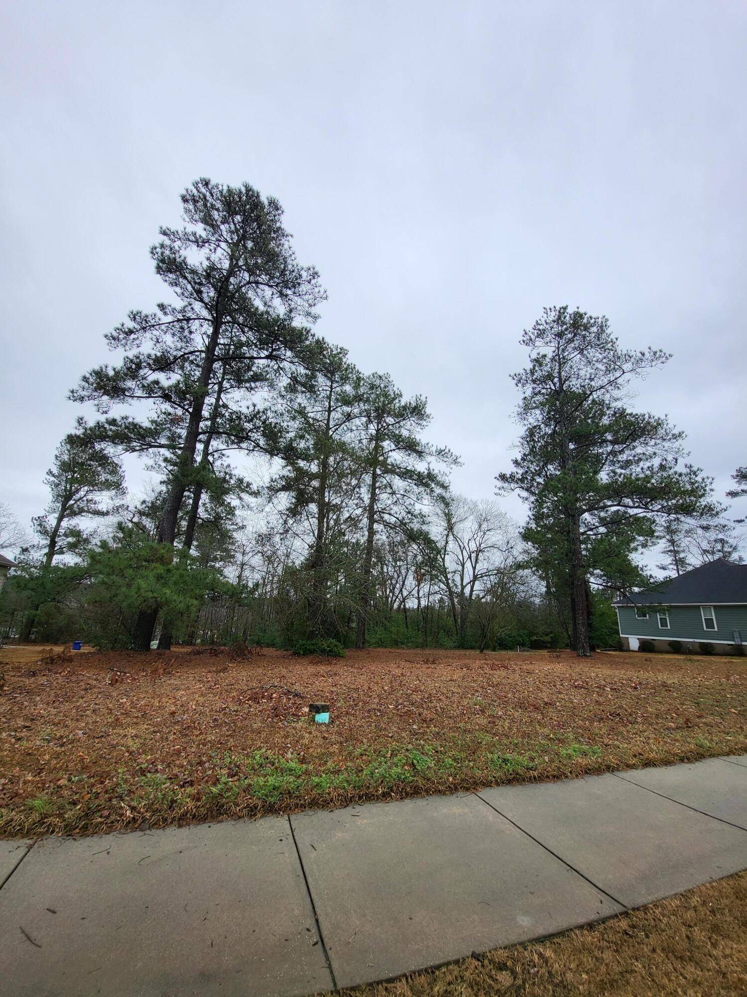 Aiken, SC 29803,0 Pinckney Pl