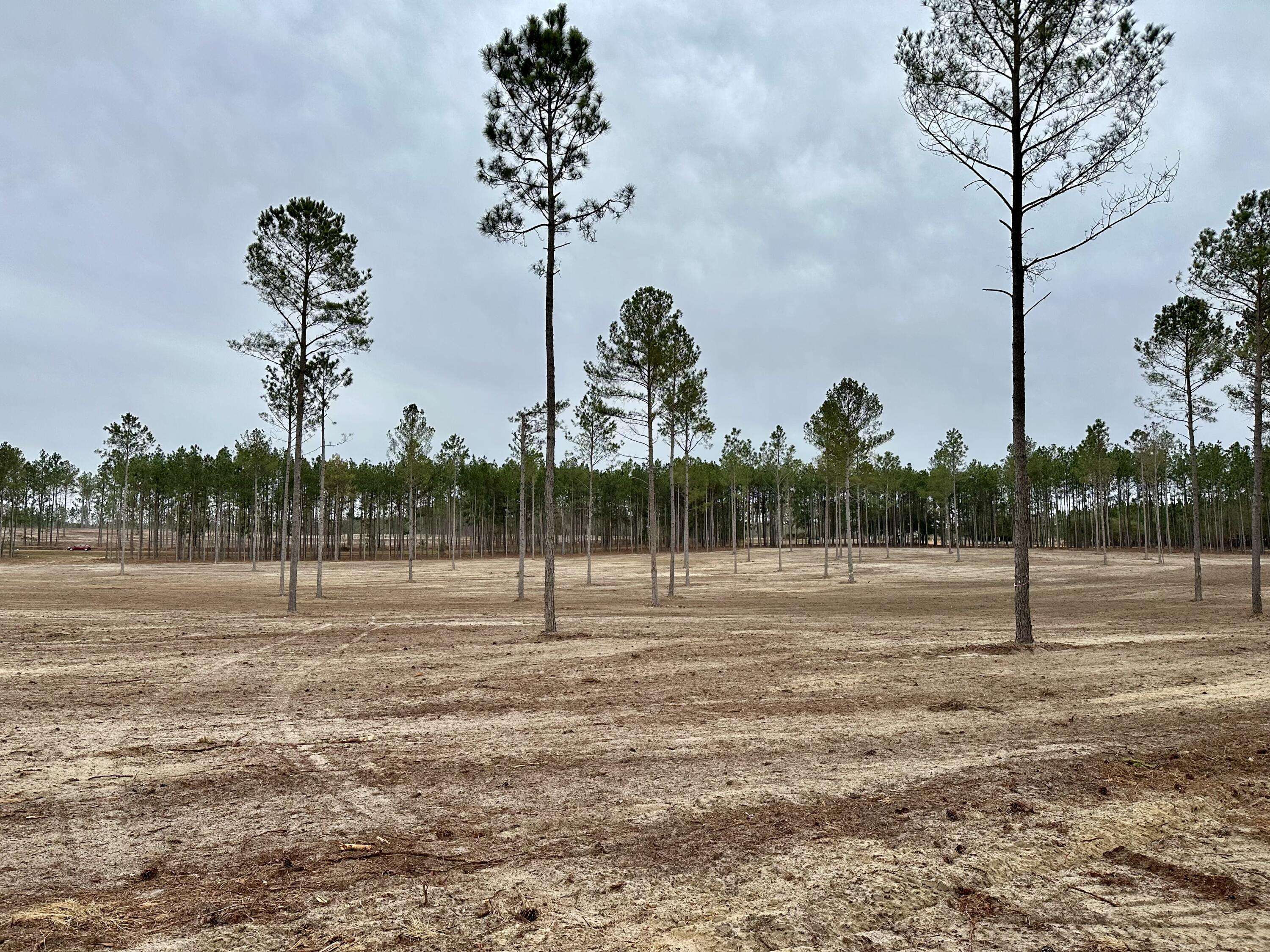 Aiken, SC 29805,41 Laughlin Loop