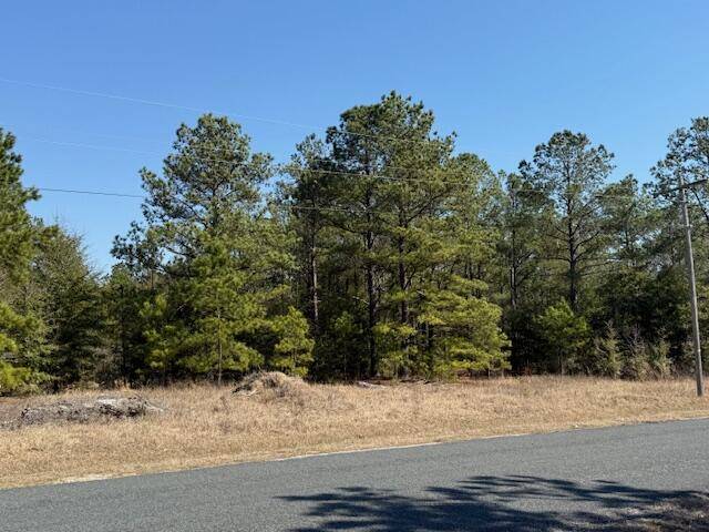 Williston, SC 29853,75 Highway 39