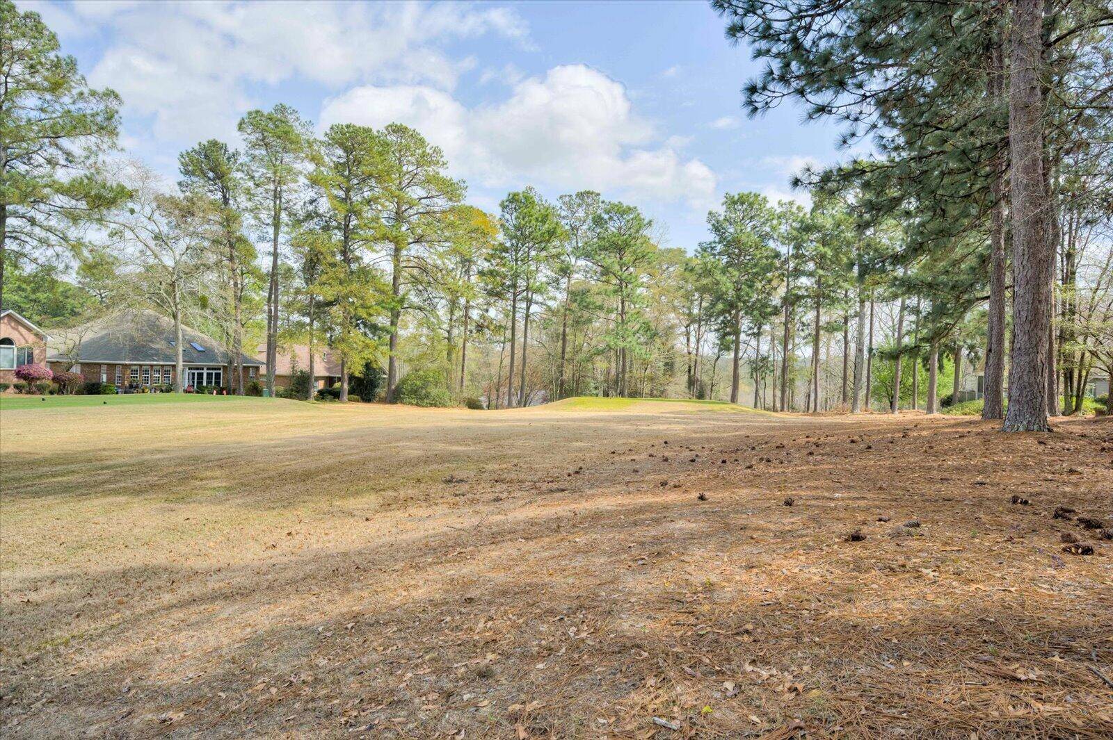Aiken, SC 29803,110 Bald Cypress Court