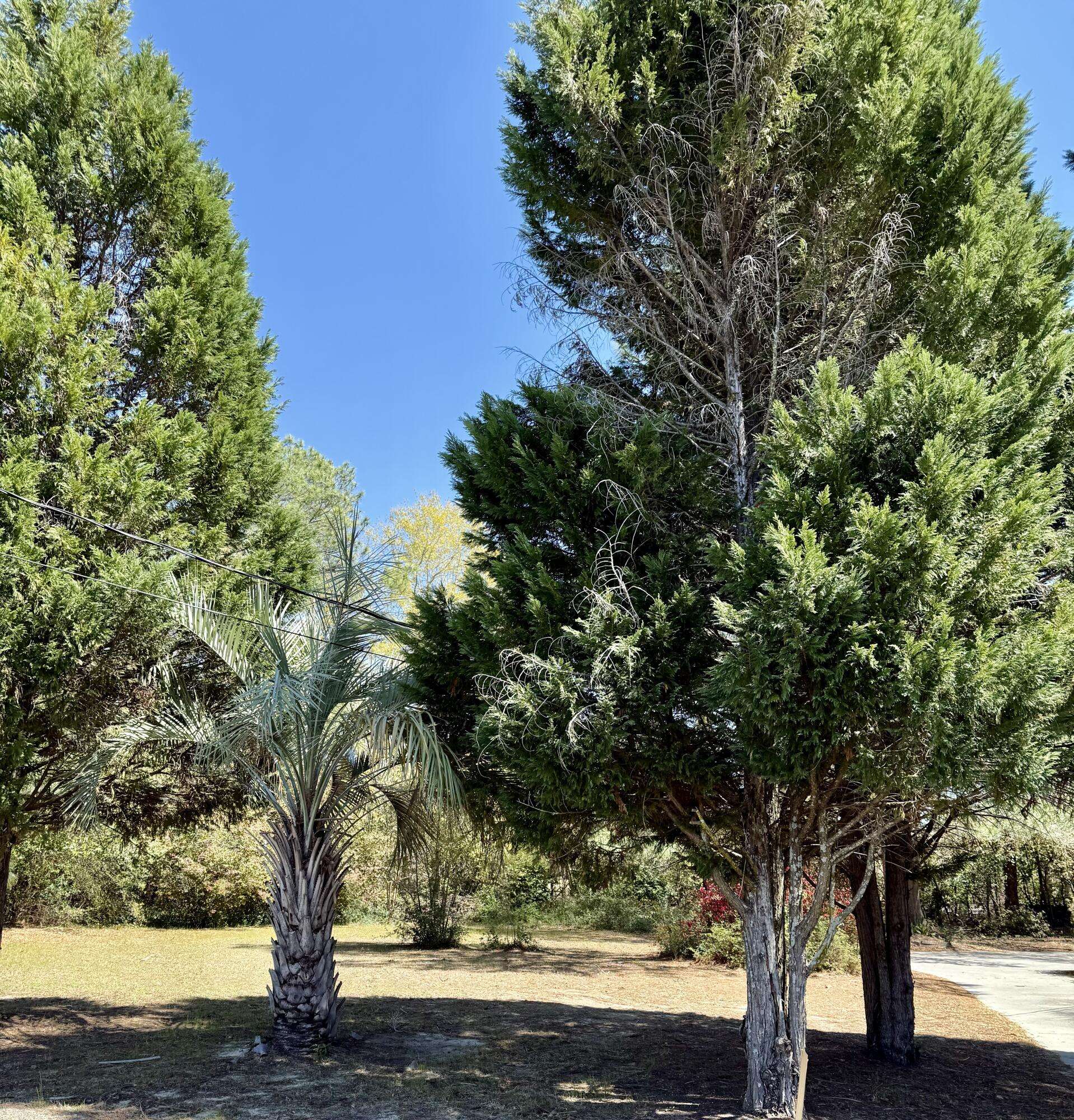 Aiken, SC 29801,2918 Loren Street