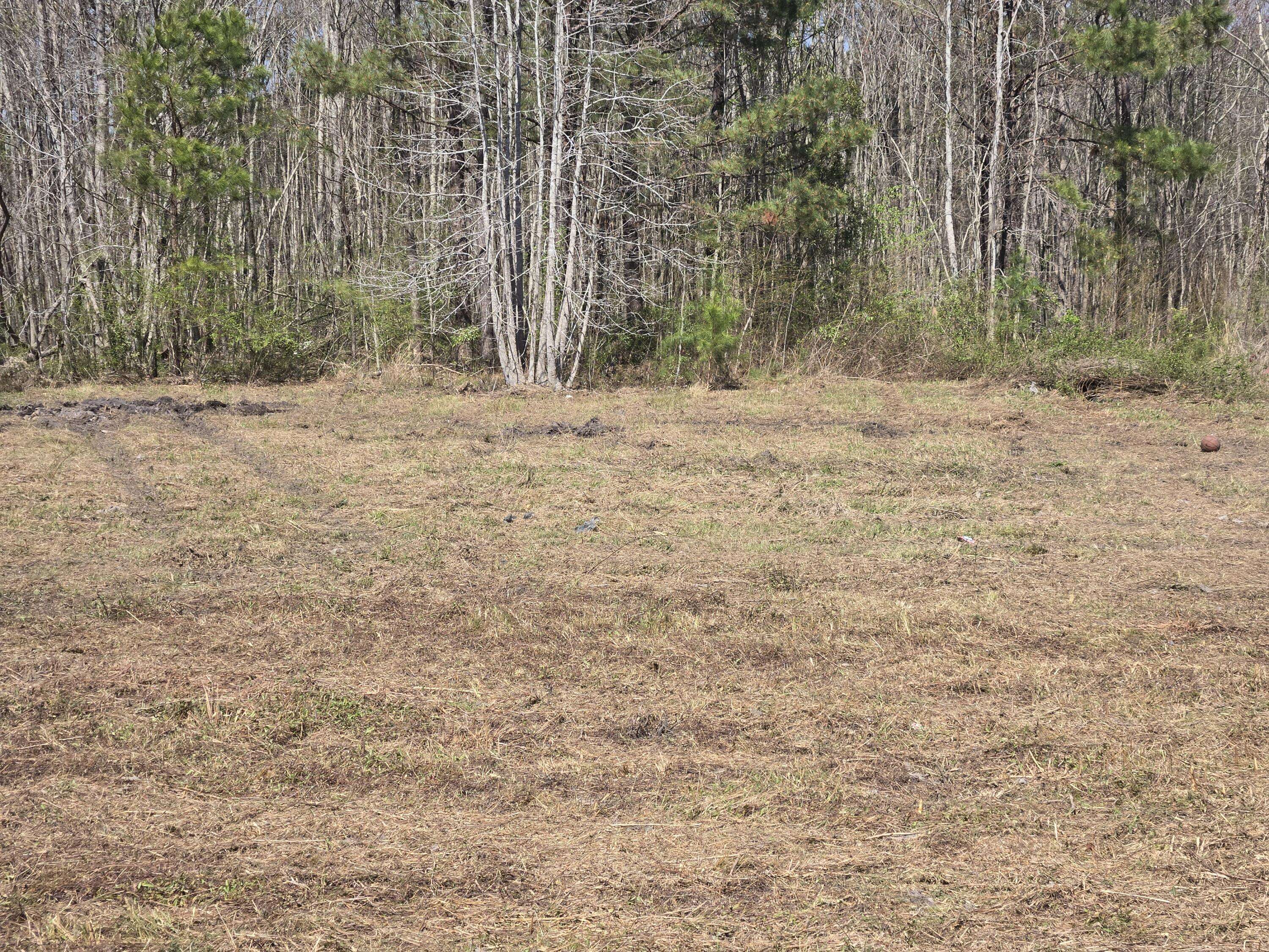 Smoaks, SC 29481,0 Drain Road