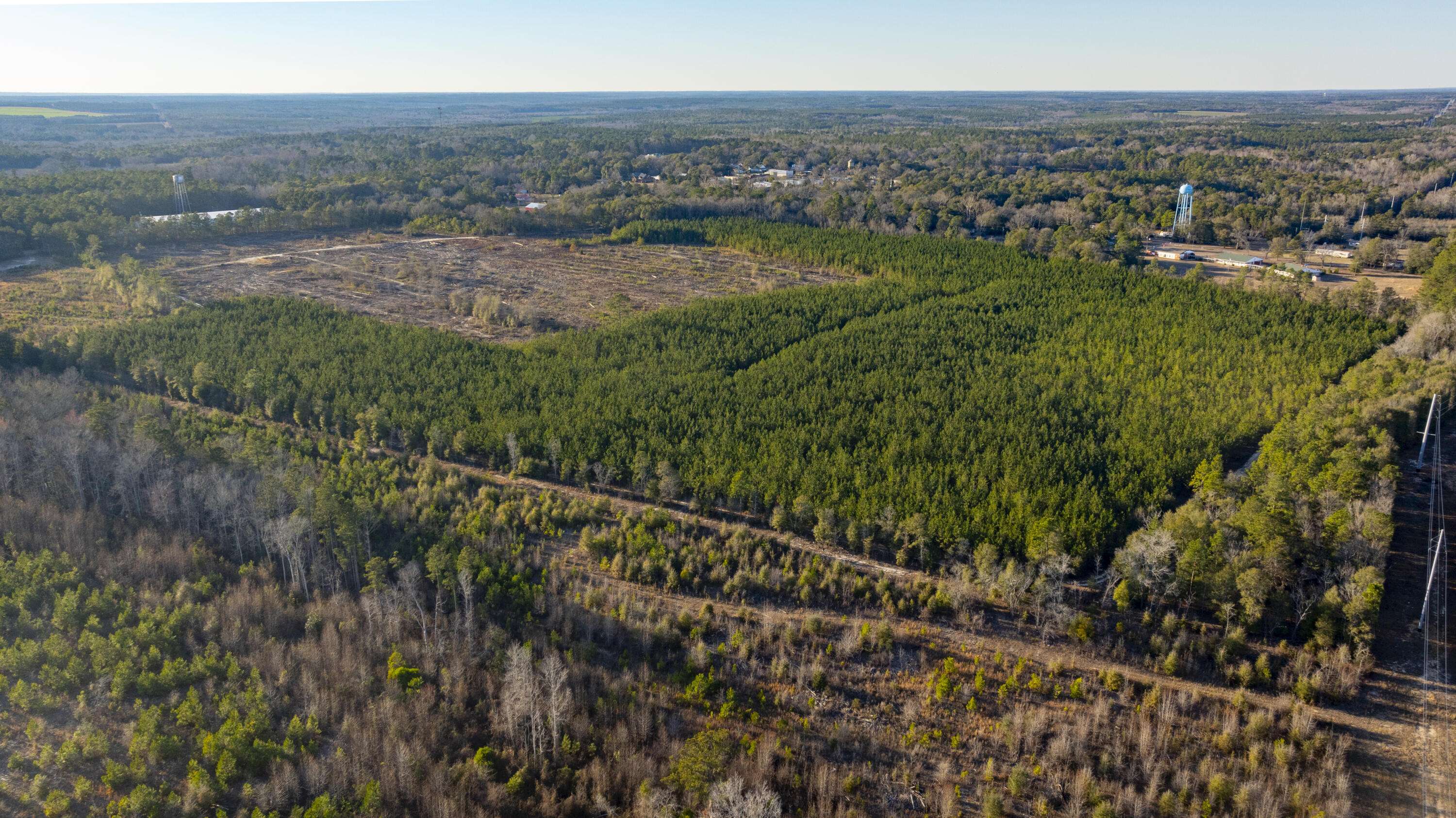 Salley, SC 29137,1 Festival Trail