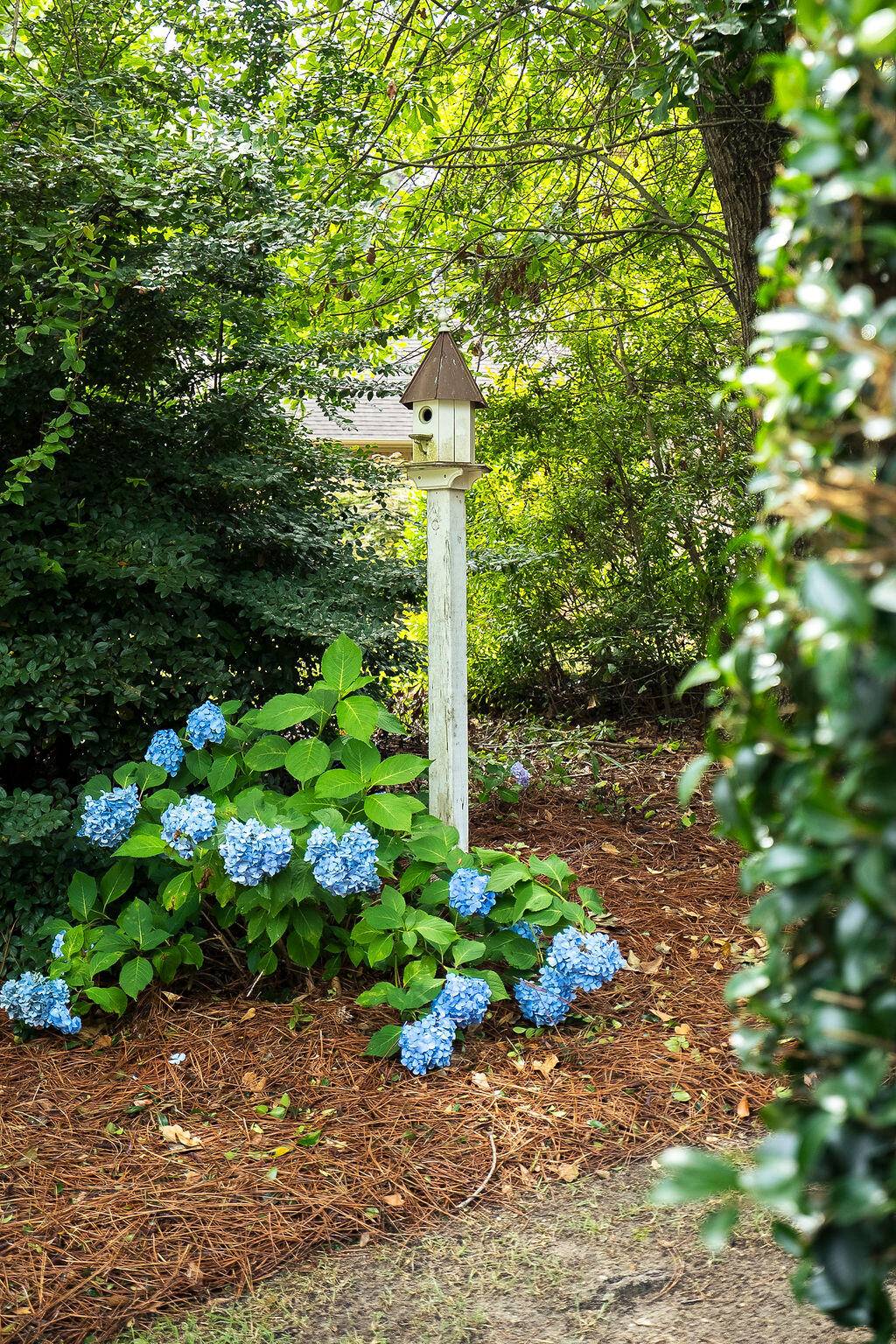 Aiken, SC 29803,144 Winged Elm Circle