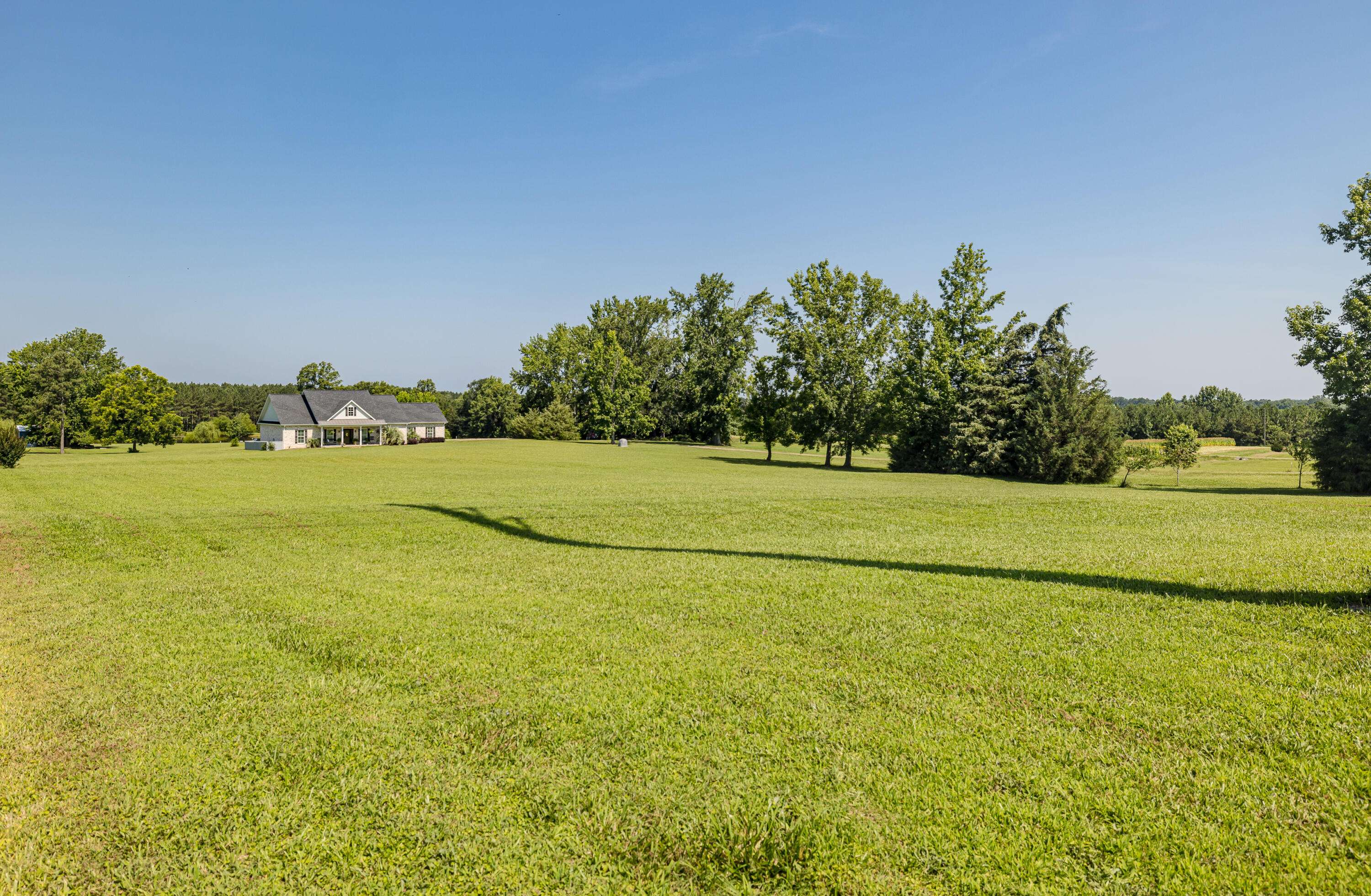 Johnston, SC 29832,165 Lanier Road