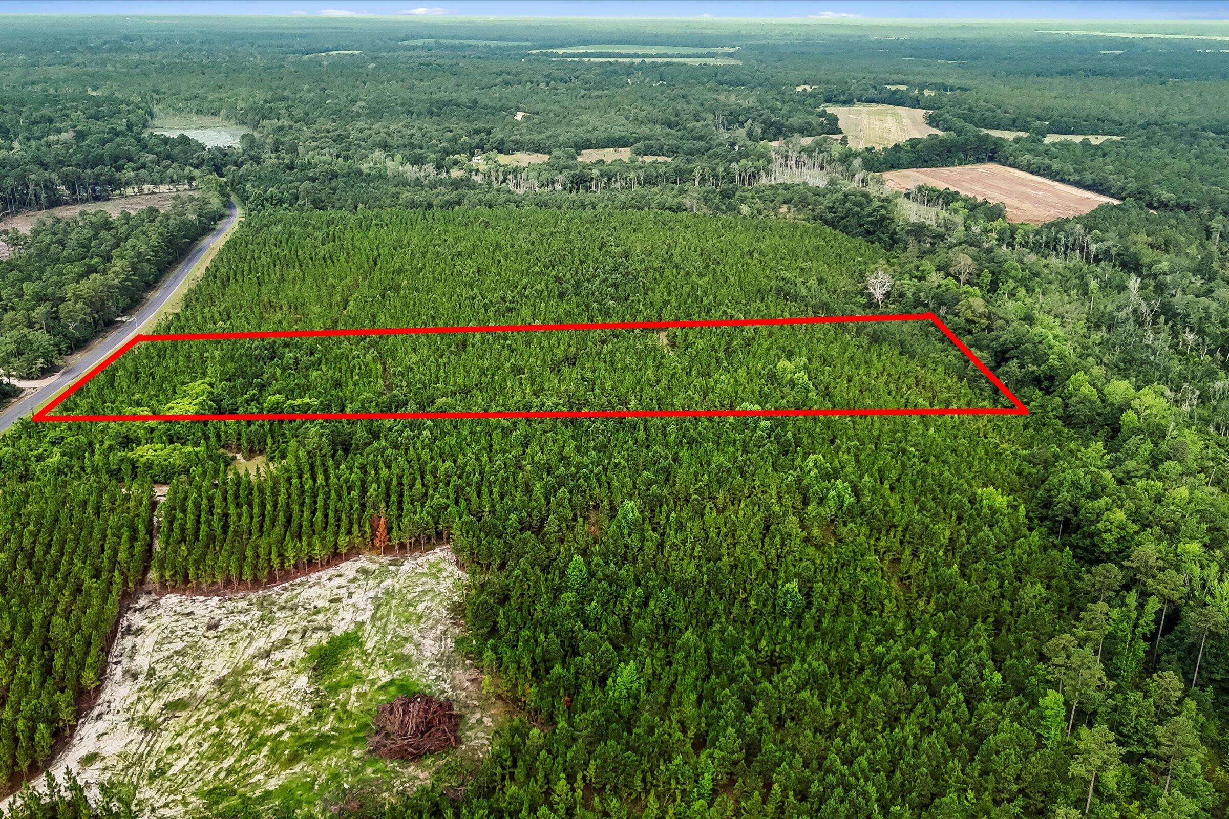 Williston, SC 29853,687 White Pond Road