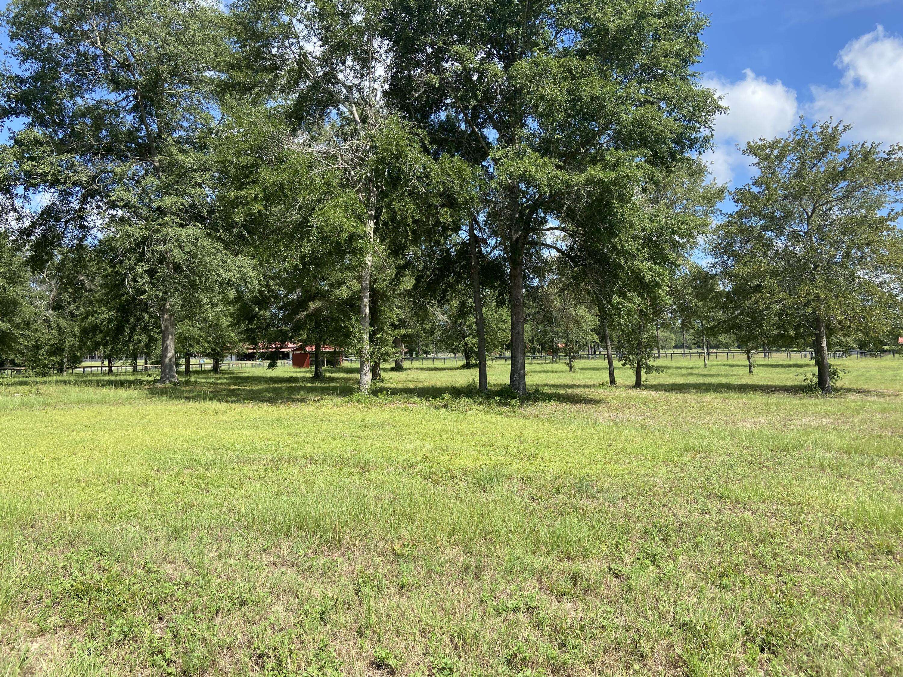 Windsor, SC 29856,48 Spring Branch Road