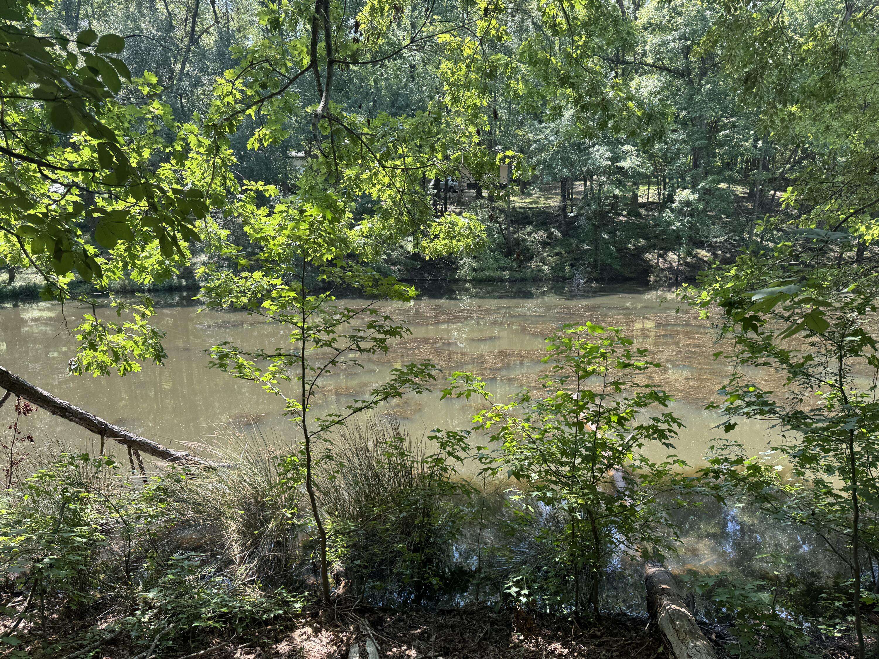 Trenton, SC 29847,2 Cardinal Drive