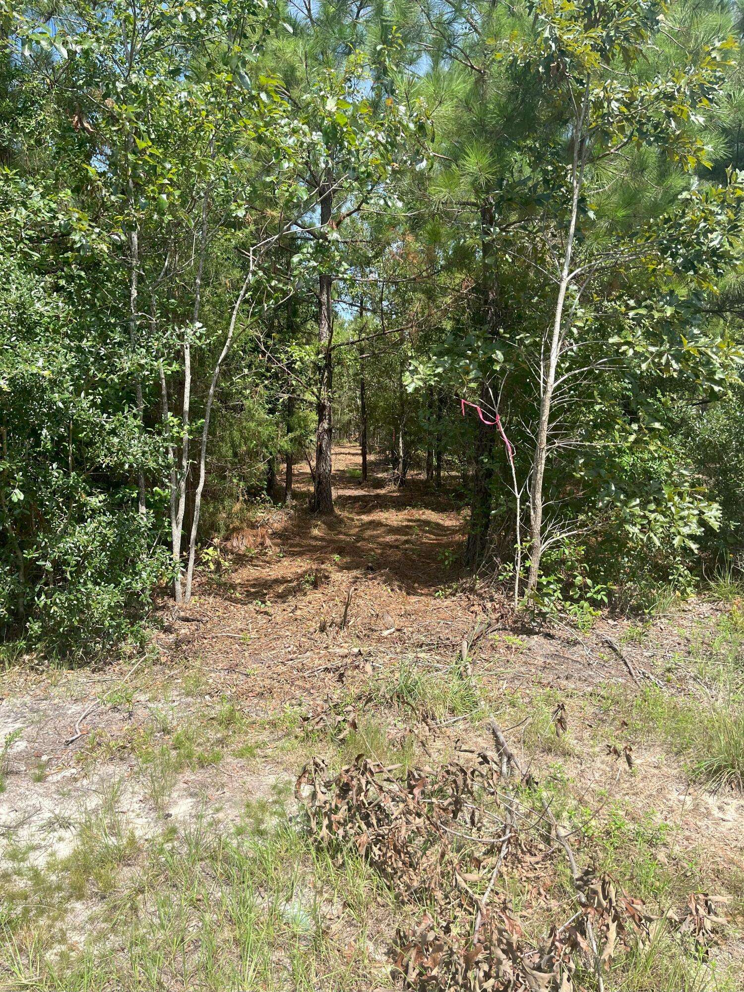 Kershaw, SC 29067,10 Payne Pond Road #Ppf 10